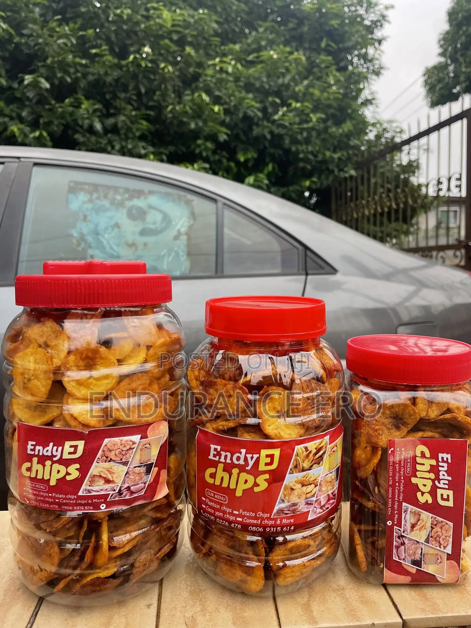Plantain Chips