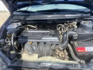 Toyota Corolla 2004 Blue