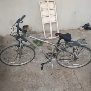 Schwinn Bicycle