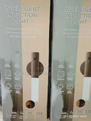Intelligent Induction Light