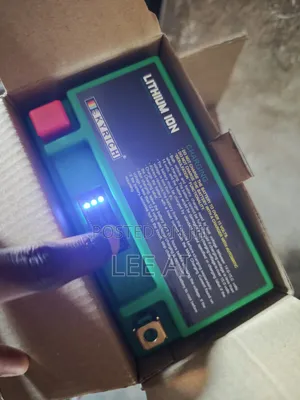 Skyrich Lithium Battery