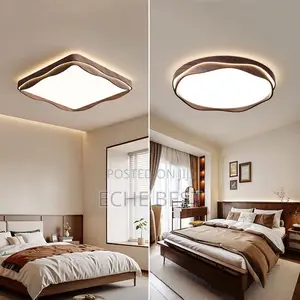 Ceiling Light
