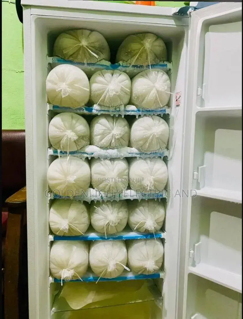 Lg 304 Upright Freezer