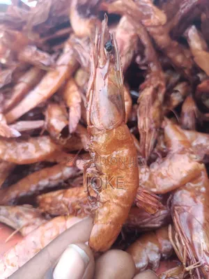 Crayfish, Prawn and Palmoil