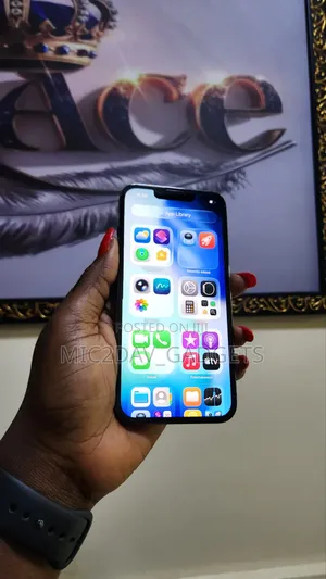 Apple iPhone 13 Pro 256 GB Gray