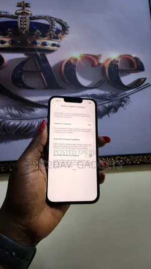 Apple iPhone 13 Pro 256 GB Gray