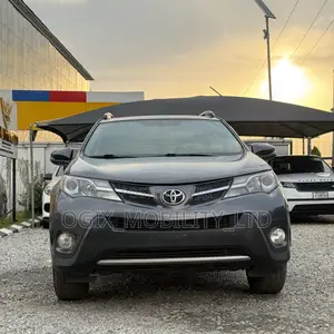 Toyota RAV4 XLE 4dr SUV (2.5L 4cyl 6A) 2014 Gray