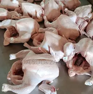 Title: Organic Broiler Chicken