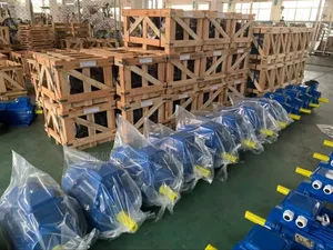 Industrial Electric Motor