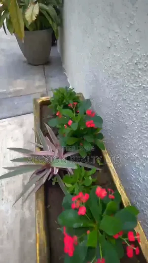 1bdrm Duplex in Old Gra for rent