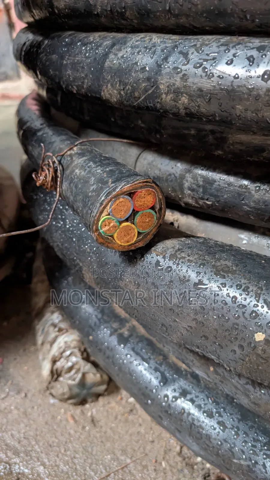 Armored Cable