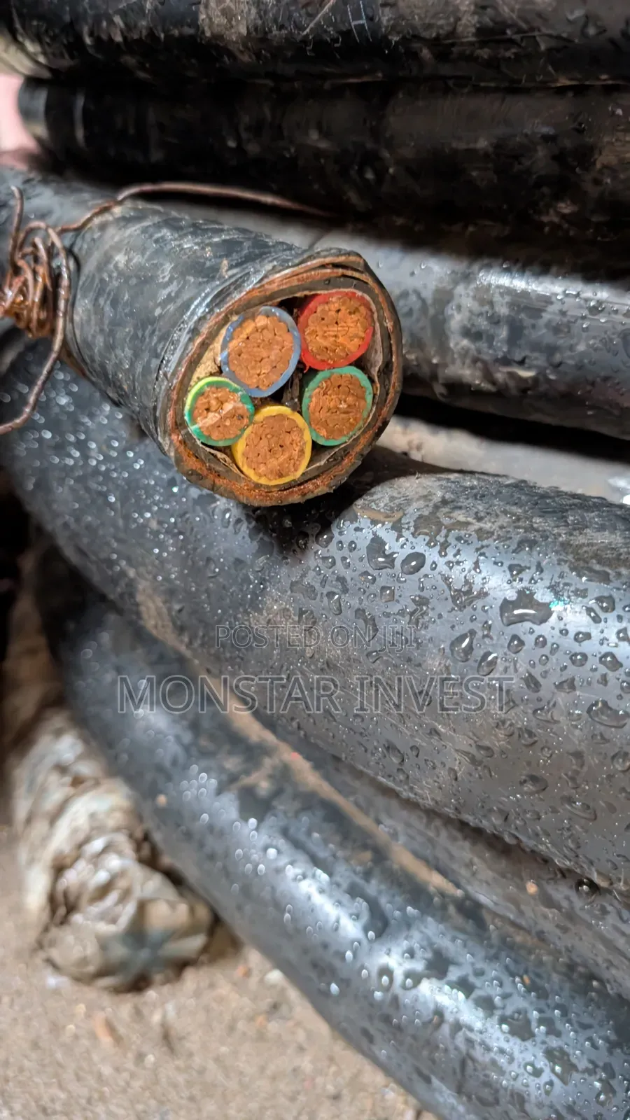 Armored Cable