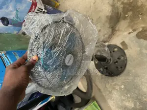 Rechargeable Standing Fan