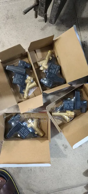 Auto Drain Valve