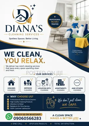 Professional Home Cleaner