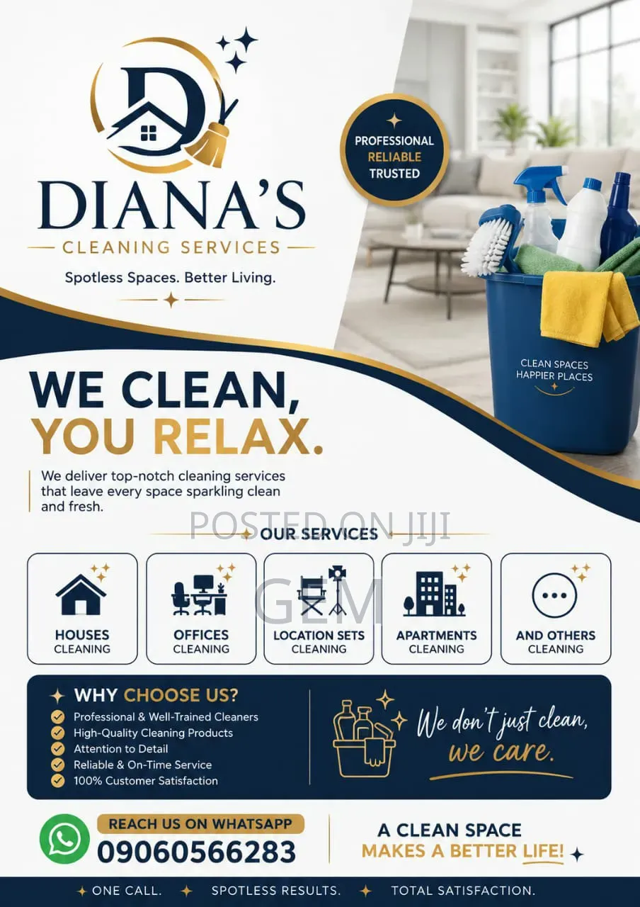 Professional Home Cleaner