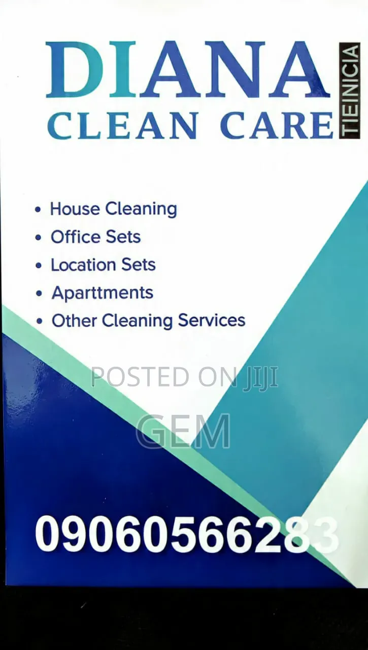 Professional Home Cleaner
