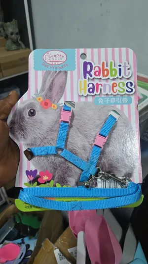Rabbit Harness Leach