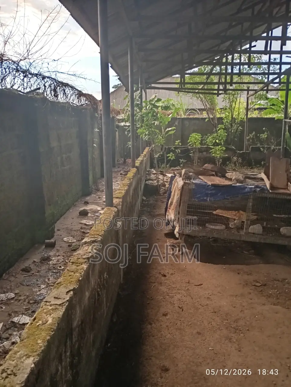 Poultry/Fish Farm for Sale - Soj Farm Price: ₦ 40,000,000 on Jiji.ng ...