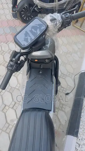 New Motorcycle 2024 Gray