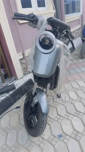 New Motorcycle 2024 Gray