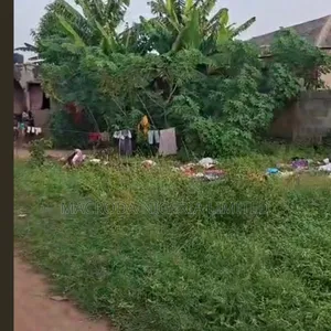 Standard Half Plot of Land Along Baruwa Candose