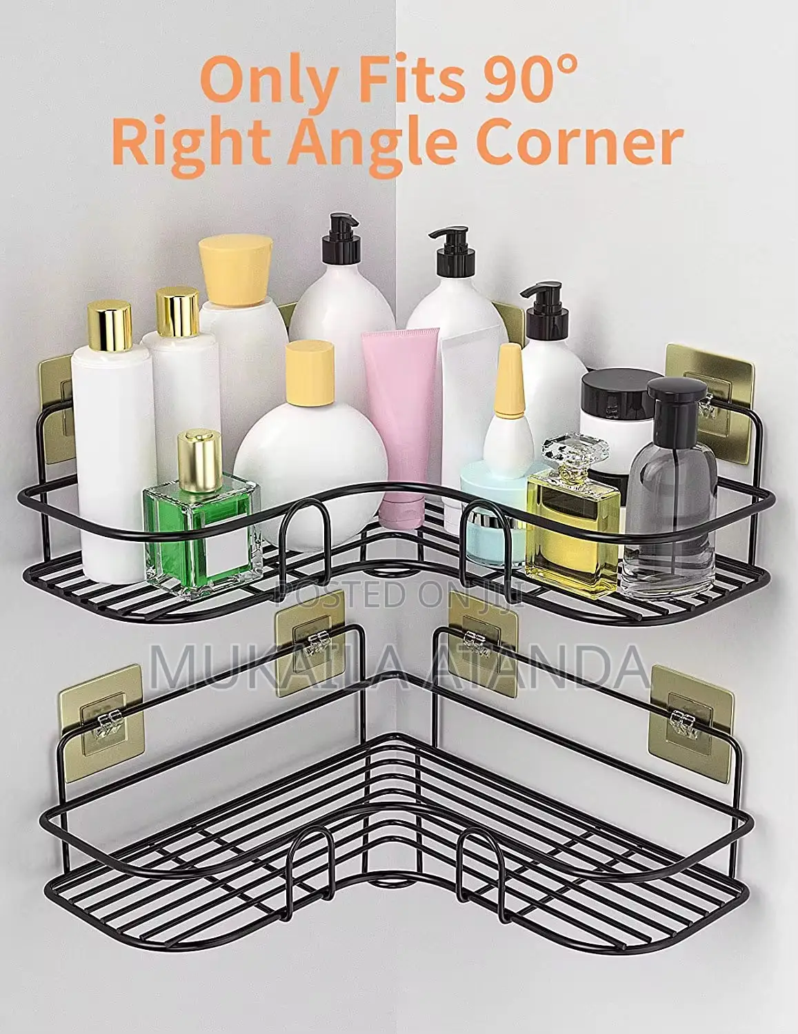 Corner Shower Shelf
