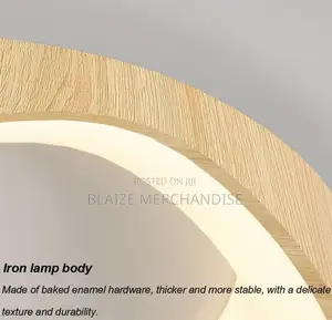 Flush Mount Led Ceiling Light Fixture
