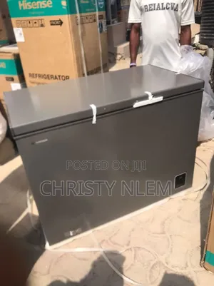 Hisense Deep Freezer 300 Litre