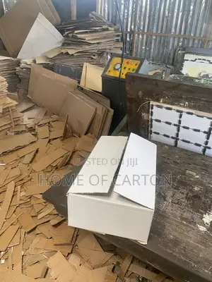 White Plain Carton