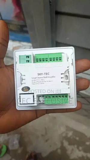 Smart Home Wall Amplifier