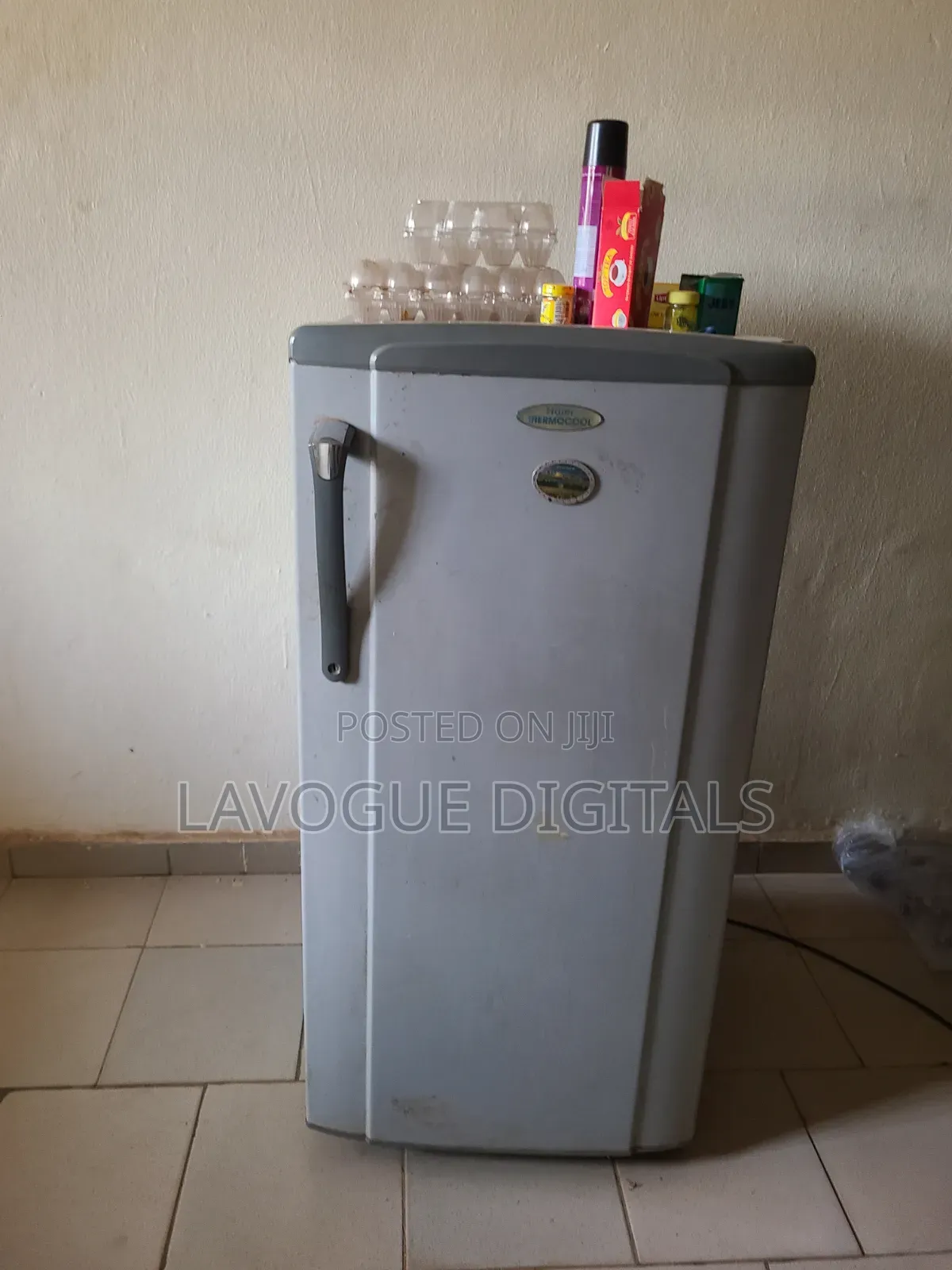 Standing Fridge