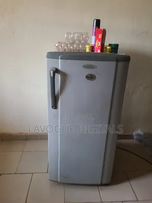 Standing Fridge