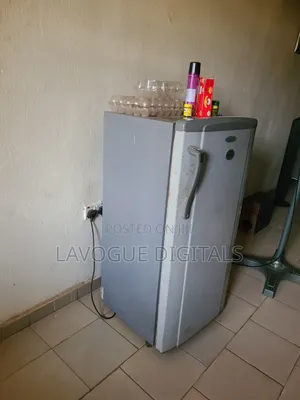 Standing Fridge