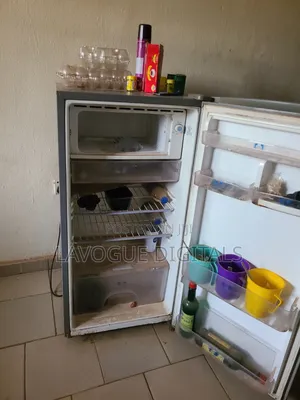 Standing Fridge