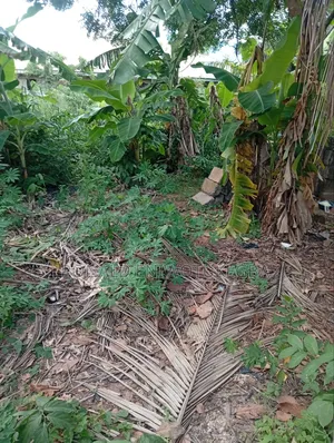 Prime 50×100 Plot of Land in Strategic Location (Pz–Okabere Axis)