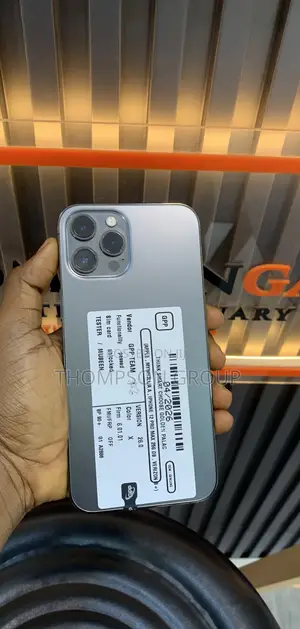 Apple iPhone 12 Pro Max 256 GB Gray