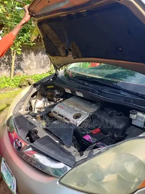 Toyota Sienna XLE FWD 2006 Gray