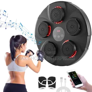 Brand New Professional Music Boxing Machine