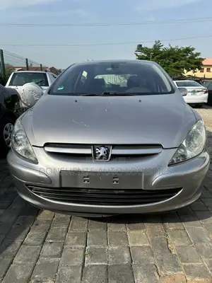 Peugeot 307 2005 Gray