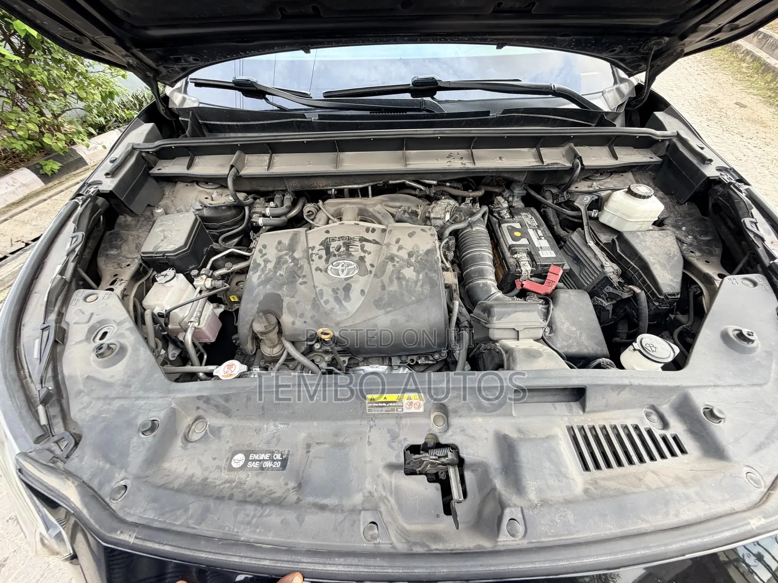 Toyota Highlander XLE AWD 2020 Black