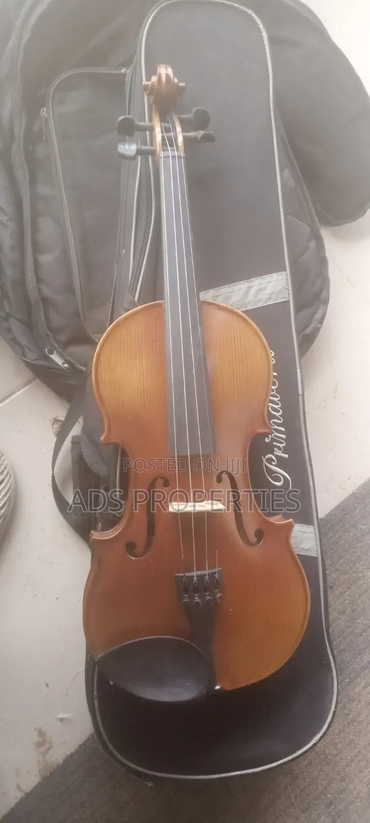 Primavera Violin