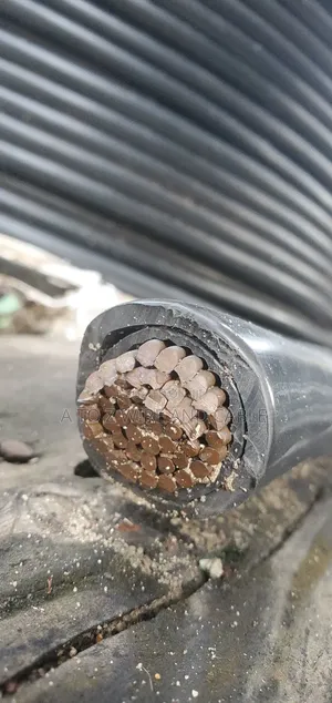 Premium 400mm 1-Core PVC/PVC Cable Available!