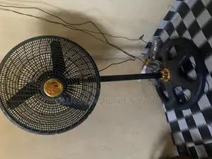 Standing Fan