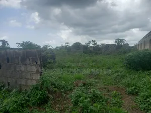 Plot With Structure