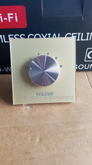 Gold Volume Controls