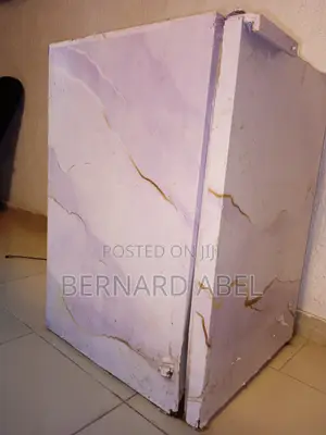 Standing Freezer