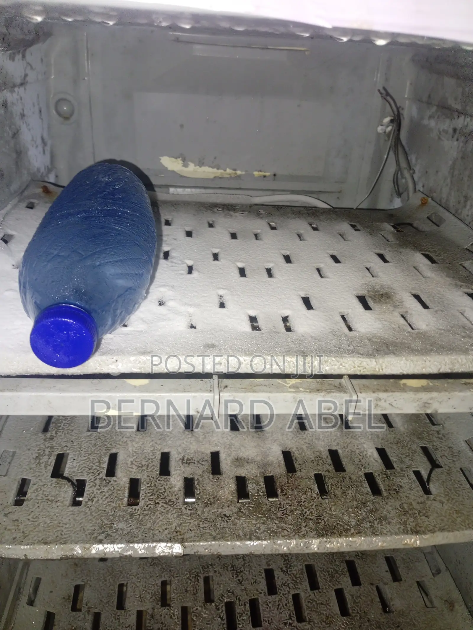 Standing Freezer