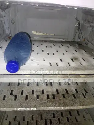 Standing Freezer