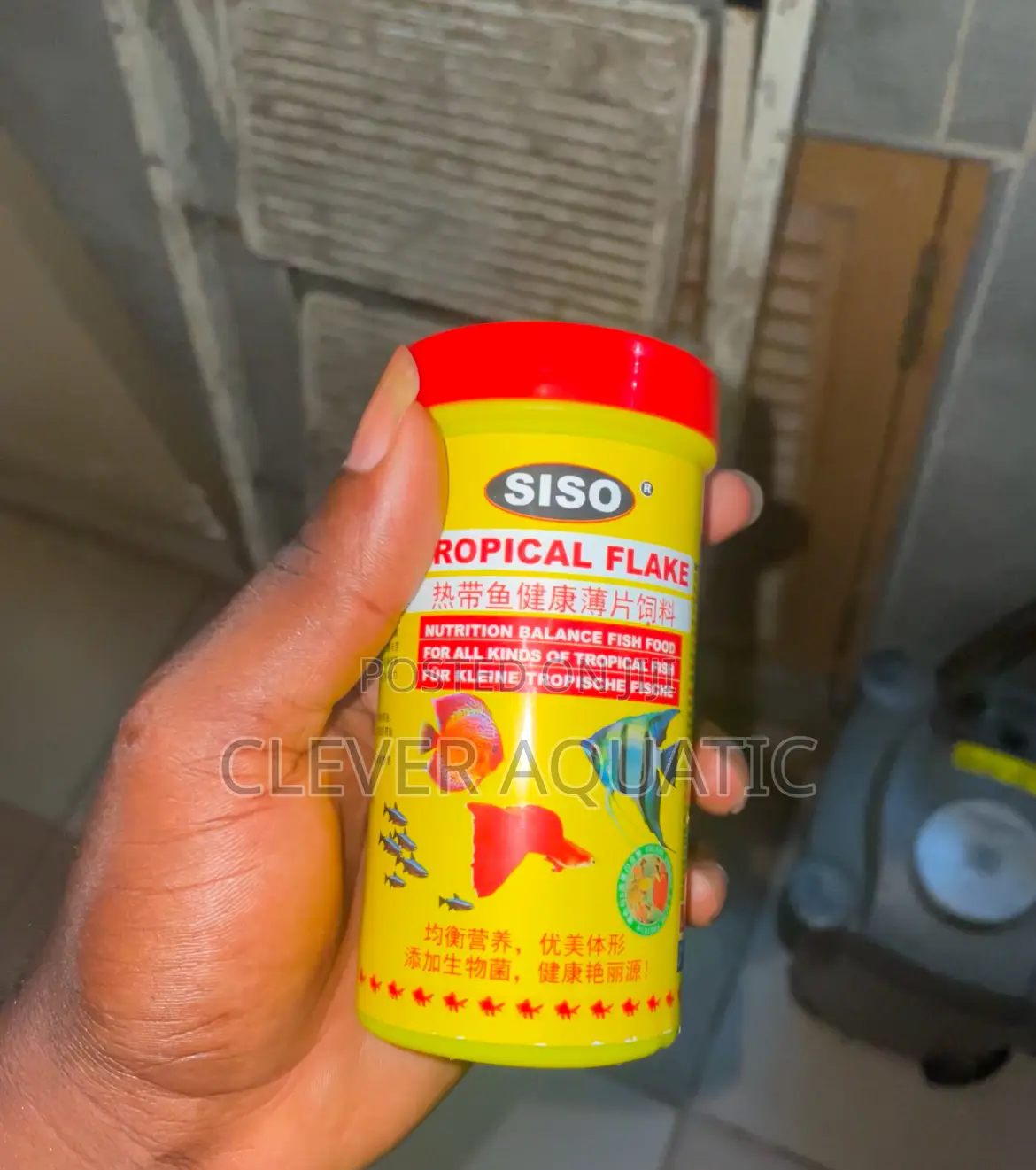 Tropical Flakes